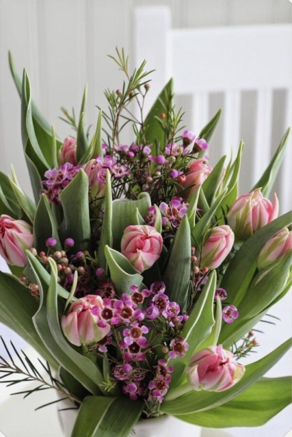 Tulips for Mom